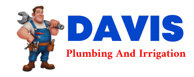 Trusted plumber in FORT KENT MILLS